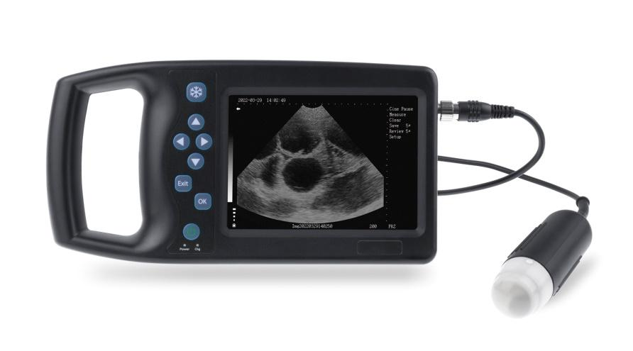 AN-M6 Veterinary B Ultrasound Diagnostic Instrument
