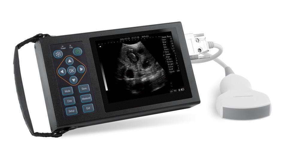 AN-A10 All-digital veterinary B-ultrasound diagnostic instru